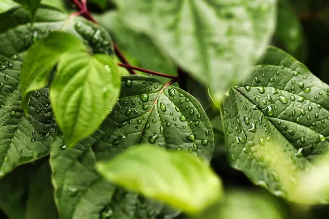 Hotel eco-friendly in Italia: guida all'acquisto